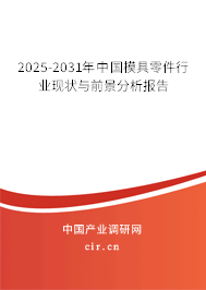 2025-2031年中國(guó)模具零件行業(yè)現(xiàn)狀與前景分析報(bào)告 2025-2031年中國(guó)模具零件行業(yè)現(xiàn)狀與前景分析報(bào)告