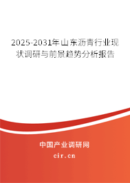 2025-2031年山東瀝青行業(yè)現(xiàn)狀調(diào)研與前景趨勢分析報告 2025-2031年山東瀝青行業(yè)現(xiàn)狀調(diào)研與前景趨勢分析報告