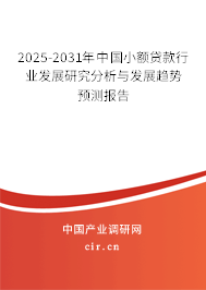 2025-2031年中國小額貸款行業(yè)發(fā)展研究分析與發(fā)展趨勢預(yù)測報告