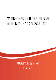 中國壓鑄模行業(yè)分析與發(fā)展前景報告(2025-2031年) 中國壓鑄模行業(yè)分析與發(fā)展前景報告(2025-2031年)