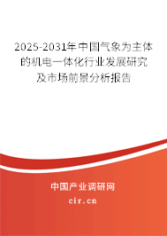 2025-2031年中國(guó)氣象為主體的機(jī)電一體化行業(yè)發(fā)展研究及市場(chǎng)前景分析報(bào)告