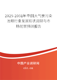 2025-2031年中國大氣汞污染治理行業(yè)發(fā)展現(xiàn)狀調(diào)研與市場前景預(yù)測報告