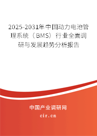 2025-2031年中國動(dòng)力電池管理系統(tǒng)(BMS)行業(yè)全面調(diào)研與發(fā)展趨勢分析報(bào)告 2025-2031年中國動(dòng)力電池管理系統(tǒng)(BMS)行業(yè)全面調(diào)研與發(fā)展趨勢分析報(bào)告