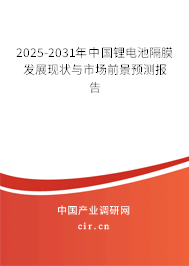 2025-2031年中國鋰電池隔膜發(fā)展現(xiàn)狀與市場前景預(yù)測報告 2025-2031年中國鋰電池隔膜發(fā)展現(xiàn)狀與市場前景預(yù)測報告