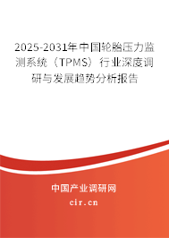 2025-2031年中國(guó)輪胎壓力監(jiān)測(cè)系統(tǒng)(TPMS)行業(yè)深度調(diào)研與發(fā)展趨勢(shì)分析報(bào)告 2025-2031年中國(guó)輪胎壓力監(jiān)測(cè)系統(tǒng)(TPMS)行業(yè)深度調(diào)研與發(fā)展趨勢(shì)分析報(bào)告