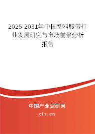 2025-2031年中國(guó)塑料腰帶行業(yè)發(fā)展研究與市場(chǎng)前景分析報(bào)告