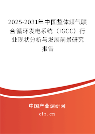 2025-2031年中國(guó)整體煤氣聯(lián)合循環(huán)發(fā)電系統(tǒng)(IGCC)行業(yè)現(xiàn)狀分析與發(fā)展前景研究報(bào)告 2025-2031年中國(guó)整體煤氣聯(lián)合循環(huán)發(fā)電系統(tǒng)(IGCC)行業(yè)現(xiàn)狀分析與發(fā)展前景研究報(bào)告