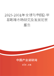 2025-2031年全球與中國(guó)2-甲基哌嗪市場(chǎng)研究及發(fā)展前景報(bào)告