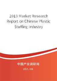 2013 Market Research Report on Chinese Plastic Stuffing Industry