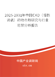 2025-2031年中國CKD(慢性腎病)藥物市場研究與行業(yè)前景分析報告 2025-2031年中國CKD(慢性腎?。┧幬锸袌鲅芯颗c行業(yè)前景分析報告