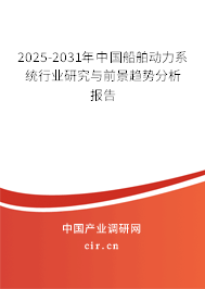 2025-2031年中國(guó)船舶動(dòng)力系統(tǒng)行業(yè)研究與前景趨勢(shì)分析報(bào)告