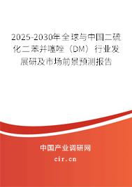 2025-2030年全球與中國(guó)二硫化二苯并噻唑（DM）行業(yè)發(fā)展研及市場(chǎng)前景預(yù)測(cè)報(bào)告