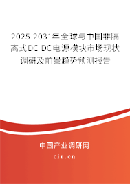 2025-2031年全球與中國非隔離式DC DC電源模塊市場現(xiàn)狀調(diào)研及前景趨勢預(yù)測報告 2025-2031年全球與中國非隔離式DC DC電源模塊市場現(xiàn)狀調(diào)研及前景趨勢預(yù)測報告
