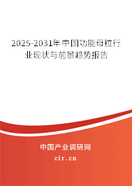 2025-2031年中國功能母粒行業(yè)現(xiàn)狀與前景趨勢報告 2025-2031年中國功能母粒行業(yè)現(xiàn)狀與前景趨勢報告