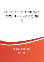 2025-2031年全球與中國(guó)輪轂總成行業(yè)研究及市場(chǎng)前景報(bào)告 2025-2031年全球與中國(guó)輪轂總成行業(yè)研究及市場(chǎng)前景報(bào)告