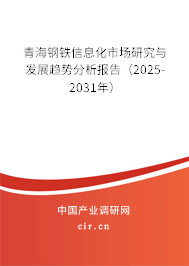 青海鋼鐵信息化市場研究與發(fā)展趨勢分析報(bào)告（2025-2031年）
