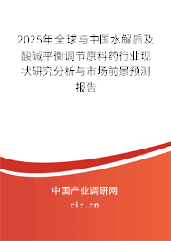 2025年全球與中國水解質(zhì)及酸堿平衡調(diào)節(jié)原料藥行業(yè)現(xiàn)狀研究分析與市場前景預(yù)測報(bào)告 2025年全球與中國水解質(zhì)及酸堿平衡調(diào)節(jié)原料藥行業(yè)現(xiàn)狀研究分析與市場前景預(yù)測報(bào)告