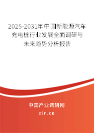 2025-2031年中國新能源汽車充電樁行業(yè)發(fā)展全面調(diào)研與未來趨勢(shì)分析報(bào)告