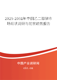 2025-2031年中國乙二醇銻市場現(xiàn)狀調(diào)研與前景趨勢報告