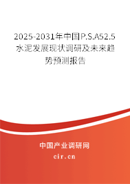 2025-2031年中國P.S.A52.5水泥發(fā)展現(xiàn)狀調(diào)研及未來趨勢預測報告