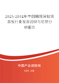 2025-2031年中國(guó)觸摸屏玻璃基板行業(yè)發(fā)展調(diào)研與前景分析報(bào)告
