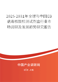 2025-2031年全球與中國EB病毒核酸檢測試劑盒行業(yè)市場調(diào)研及發(fā)展趨勢研究報告 2025-2031年全球與中國EB病毒核酸檢測試劑盒行業(yè)市場調(diào)研及發(fā)展趨勢研究報告
