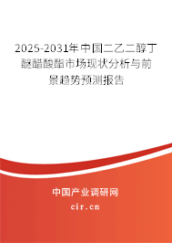 2025-2031年中國二乙二醇丁醚醋酸酯市場現(xiàn)狀分析與前景趨勢預(yù)測報告