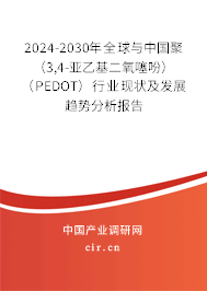 2024-2030年全球與中國聚(3,4-亞乙基二氧噻吩)(PEDOT)行業(yè)現(xiàn)狀及發(fā)展趨勢分析報告 2024-2030年全球與中國聚(3,4-亞乙基二氧噻吩)(PEDOT)行業(yè)現(xiàn)狀及發(fā)展趨勢分析報告