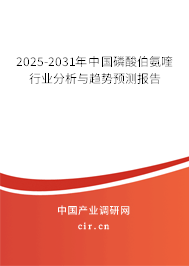2025-2031年中國磷酸伯氨喹行業(yè)分析與趨勢預(yù)測報(bào)告 2025-2031年中國磷酸伯氨喹行業(yè)分析與趨勢預(yù)測報(bào)告