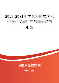 2025-2031年中國凝膠成像系統(tǒng)行業(yè)發(fā)展研究與前景趨勢報告 2025-2031年中國凝膠成像系統(tǒng)行業(yè)發(fā)展研究與前景趨勢報告