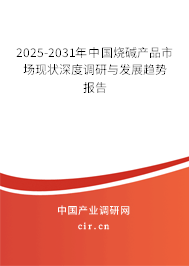 2025-2031年中國燒堿產品市場現(xiàn)狀深度調研與發(fā)展趨勢報告