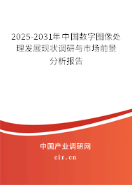 2025-2031年中國(guó)數(shù)字圖像處理發(fā)展現(xiàn)狀調(diào)研與市場(chǎng)前景分析報(bào)告