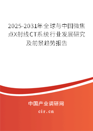 2025-2031年全球與中國微焦點X射線CT系統(tǒng)行業(yè)發(fā)展研究及前景趨勢報告 2025-2031年全球與中國微焦點X射線CT系統(tǒng)行業(yè)發(fā)展研究及前景趨勢報告