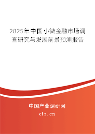 2025年中國(guó)小微金融市場(chǎng)調(diào)查研究與發(fā)展前景預(yù)測(cè)報(bào)告 2025年中國(guó)小微金融市場(chǎng)調(diào)查研究與發(fā)展前景預(yù)測(cè)報(bào)告