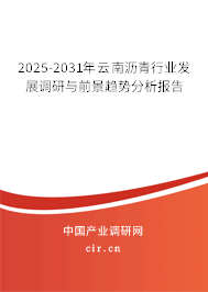 2025-2031年云南瀝青行業(yè)發(fā)展調(diào)研與前景趨勢分析報(bào)告
