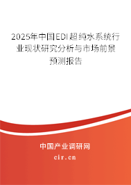2025年中國EDI超純水系統(tǒng)行業(yè)現(xiàn)狀研究分析與市場前景預測報告