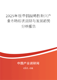 2025年版中國(guó)戰(zhàn)略性新興產(chǎn)業(yè)市場(chǎng)現(xiàn)狀調(diào)研與發(fā)展趨勢(shì)分析報(bào)告
