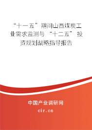 “十一五”期間山西煤炭工業(yè)需求監(jiān)測與 “十二五” 投資規(guī)劃戰(zhàn)略指導(dǎo)報告 “十一五”期間山西煤炭工業(yè)需求監(jiān)測與 “十二五” 投資規(guī)劃戰(zhàn)略指導(dǎo)報告