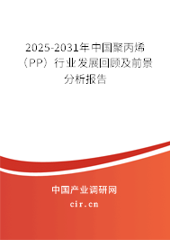 2025-2031年中國(guó)聚丙烯（PP）行業(yè)發(fā)展回顧及前景分析報(bào)告
