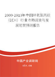 2009-2013年中國(guó)環(huán)氧氯丙烷(ECH)行業(yè)市場(chǎng)調(diào)查與發(fā)展前景預(yù)測(cè)報(bào)告 2009-2013年中國(guó)環(huán)氧氯丙烷(ECH)行業(yè)市場(chǎng)調(diào)查與發(fā)展前景預(yù)測(cè)報(bào)告