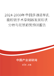 2024-2030年中國多通道單孔腹腔鏡手術穿刺器發(fā)展現(xiàn)狀分析與前景趨勢預測報告