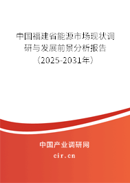 中國福建省能源市場現狀調研與發(fā)展前景分析報告（2025-2031年）