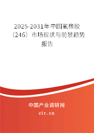 2025-2031年中國(guó)氟橡膠(246)市場(chǎng)現(xiàn)狀與前景趨勢(shì)報(bào)告 2025-2031年中國(guó)氟橡膠(246)市場(chǎng)現(xiàn)狀與前景趨勢(shì)報(bào)告