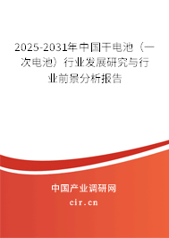 2025-2031年中國干電池（一次電池）行業(yè)發(fā)展研究與行業(yè)前景分析報(bào)告