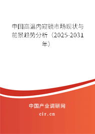 中國高溫內(nèi)窺鏡市場現(xiàn)狀與前景趨勢分析（2025-2031年）