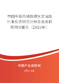 中國甲基丙烯酸縮水甘油酯行業(yè)現(xiàn)狀研究分析及發(fā)展趨勢預測報告（2025年）