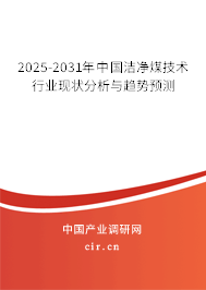 2025-2031年中國(guó)潔凈煤技術(shù)行業(yè)現(xiàn)狀分析與趨勢(shì)預(yù)測(cè)