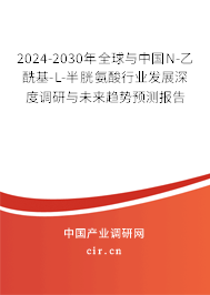2024-2030年全球與中國N-乙?；?L-半胱氨酸行業(yè)發(fā)展深度調(diào)研與未來趨勢預(yù)測報告
