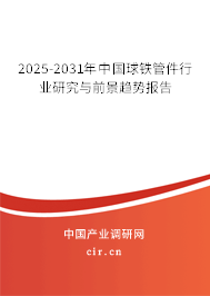 2025-2031年中國球鐵管件行業(yè)研究與前景趨勢報告