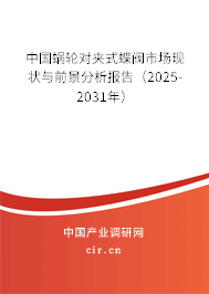 中國蝸輪對夾式蝶閥市場現(xiàn)狀與前景分析報告（2025-2031年）